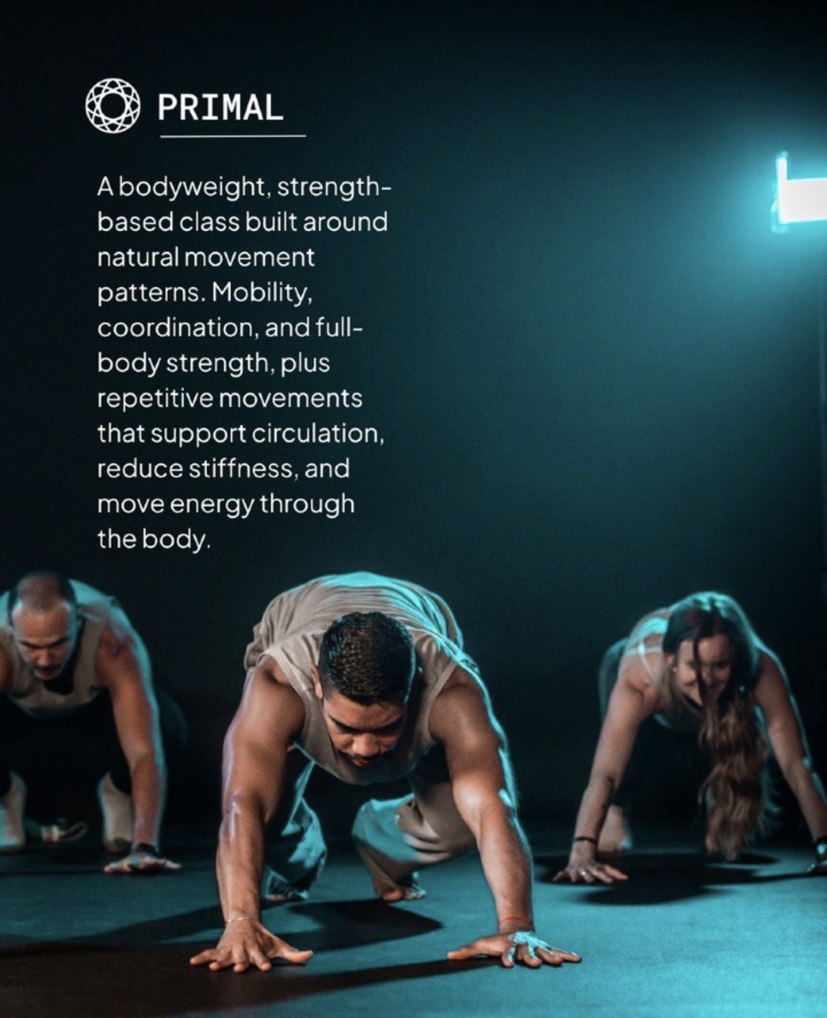 Cellevate Primal class graphic — bodyweight strength class built on natural movement — social campaign design by Murrieta Media