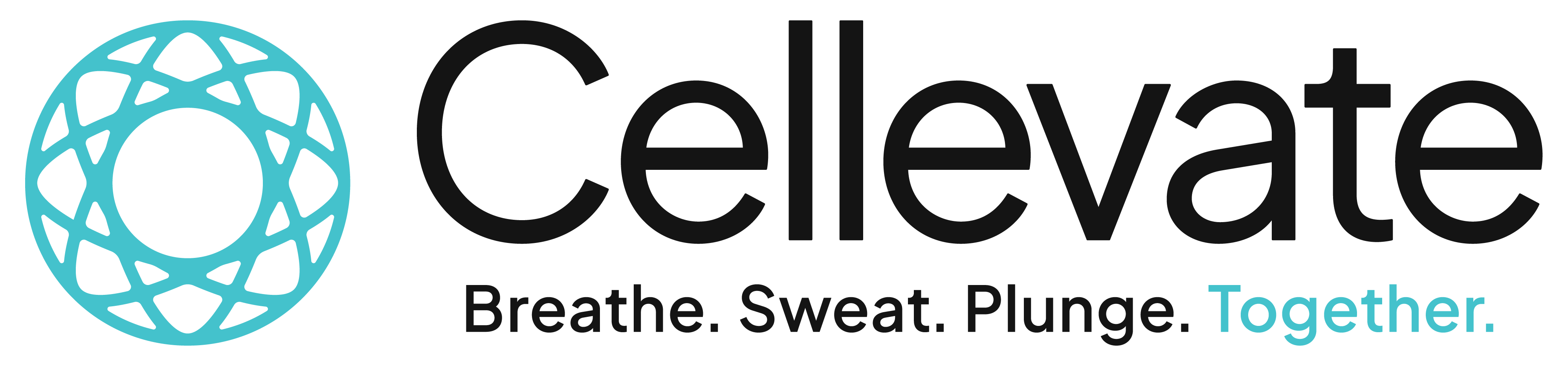 Cellevate wellness spa logo — client of Murrieta Media, Temecula Valley